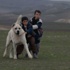 “Sivas” Venedik’ten İki Ödülle Döndü
