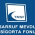 TMSF Hazine'ye 45 milyon dolar ödedi