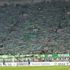 Bursaspor’da kombinelere ilgi yok