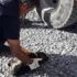 Yavru köpekler zifte yapıştı: Belediyeden açıklama