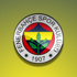 Fenerbahçe, masa tenisinde Şampiyonlar Ligi Şampiyonu oldu
