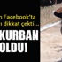 Bir kadın cinayeti haberi de Antalya'dan geldi! Bir kadın cinayeti haberi de Antalya'dan geldi!