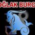 2019 yılında Oğlak burcunu neler bekliyor? 2019 yılında Oğlak burcunu neler bekliyor?