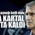 Kartal fizikten sınıfta kaldı!