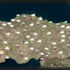 Yurtta hava durumu