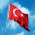 Türk Bayrağını İndiren Şahıs Yakalandı Türk Bayrağını İndiren Şahıs Yakalandı