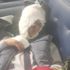 Bu halde hastaneden taburcu edildi, ailesi gözyaşına boğuldu Bu halde hastaneden taburcu edildi, ailesi gözyaşına boğuldu