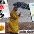 Meteoroloji’den korkutan harita! Son 50 yılın en düşük seviyesi görüldü Meteoroloji’den korkutan harita! Son 50 yılın en düşük seviyesi görüldü