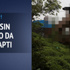 Kuzenine inat ceviz ağacına ev yaptı Kuzenine inat ceviz ağacına ev yaptı