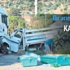 Asma yaprağı yolunda katliam