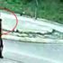 İstanbul'da sapık dehşeti! 9 yaşındaki çocuğu ormanlık alana götürdüğü anlar kamerada