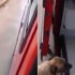 Yine dünyaya ders verdiler Yine dünyaya ders verdiler