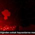 Niğde Valiliğinden sokak hayvanlarına mama desteği Niğde Valiliğinden sokak hayvanlarına mama desteği