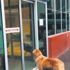 Pot pot isimli köpek, rahatsızlanan sahibini hastane kapısında bekledi (Yaşam haberleri) Pot pot isimli köpek, rahatsızlanan sahibini hastane kapısında bekledi (Yaşam haberleri)