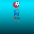 PTT 1. Lig'de görünüm