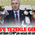 Bakan'dan CHP'ye ucuz et cevabı