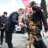 İstanbul Valisi Ali Yerlikaya’ya K-9 polis köpeği saldırdı. Kameralar anbean kaydetti İstanbul Valisi Ali Yerlikaya’ya K-9 polis köpeği saldırdı. Kameralar anbean kaydetti