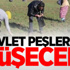 Galatasaray'da Hamzaoğlu ile Yollar Ayrıldı Galatasaray'da Hamzaoğlu ile Yollar Ayrıldı