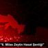 Muğla da "6. Milas Zeytin Hasat Şenliği"