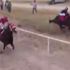 Meksika’da yarış atı araca çarptı