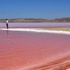 Tuz Gölü'nde 'kırmızı beyaz şölen'