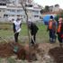 Marmaris'te sağlık emekçilerinin anısına fidan dikildi Marmaris'te sağlık emekçilerinin anısına fidan dikildi