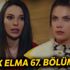 Yasak Elma 67. Bölüm Full Tek Parça Son Bölüm İzle (Yıldız gerçekleri öğreniyor mu?)