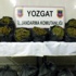 Yozgat'ta 100 kilo esrar ele geçirildi