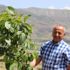 Vergi rekortmeni iş adamı köyüne döndü, ceviz dikti Vergi rekortmeni iş adamı köyüne döndü, ceviz dikti