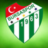 Bursaspor yönetimini şoka sokan icra!