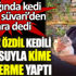 ﻿Yılmaz Özdil kedili videosuyla kime gönderme yaptı. Kucağında kedi ‘Duble Süvari’den sonra dedi