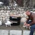 Sokaktaki kediler üşümesin diye lastikten kedi evi yaptı Sokaktaki kediler üşümesin diye lastikten kedi evi yaptı