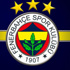 Fenerbahçe yarı finale yükseldi Fenerbahçe yarı finale yükseldi