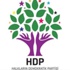 HDP heyeti Cizre için İçişleri Bakanlığı'nda