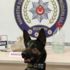 Mardin’de zehir tacirlerinin yöntemi 'pes' dedirtti Mardin’de zehir tacirlerinin yöntemi 'pes' dedirtti