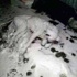 Sosyal medyayı sallayan fotoğraf! Sosyal medyayı sallayan fotoğraf!