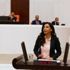 CHP'li Yedekçi: Rant ve talan politikalarınız karşısında insanımızı ve yaşam şeklimizi savunacağız