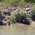 Sakarya Nehri'nde kaybolan Suriyeli genç aranıyor Sakarya Nehri'nde kaybolan Suriyeli genç aranıyor