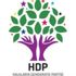 Cezavinde açlık grevi yapan HDP'li vekil ve başkanlara disiplin cezası