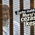Mursi 20 yıl hapis cezasına çarptırıldı