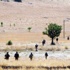 Genelkurmay: 2 çatışmada 7 PKK’lı ölü ele geçirildi Genelkurmay: 2 çatışmada 7 PKK’lı ölü ele geçirildi