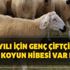 TİGEM 300 koyun alım başvurusu nasıl yapılır? 2020 yılı 300 koyun alım başvuru şartları nedir?
