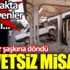 ﻿Davetsiz misafir. Görenler şaşkına döndü. Ya durakta bekleyenler olsaydı