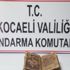 Torpidoya gizlenmişti aramada bulundu. Deri üzerine yazılmış Torpidoya gizlenmişti aramada bulundu. Deri üzerine yazılmış
