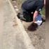 ABD de polis memuru, 14 yaşındaki bir çocuğu puro ... ABD de polis memuru, 14 yaşındaki bir çocuğu puro ...