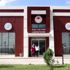 Nesli tükenmekte olan bitkiler laboratuvarda yetiştiriliyor