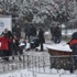 Trakya Beyaza Büründü (4)