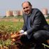 Turfanda patates hasadı devam ediyor Turfanda patates hasadı devam ediyor