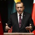 Erdoğan'dan Litvanya Cumhurbaşkanı ile açıklama