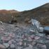 Erzincan'da freni boşalan tır, 25 kilometre sonra şarampole devrildi Erzincan'da freni boşalan tır, 25 kilometre sonra şarampole devrildi